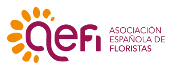 logo-aefi